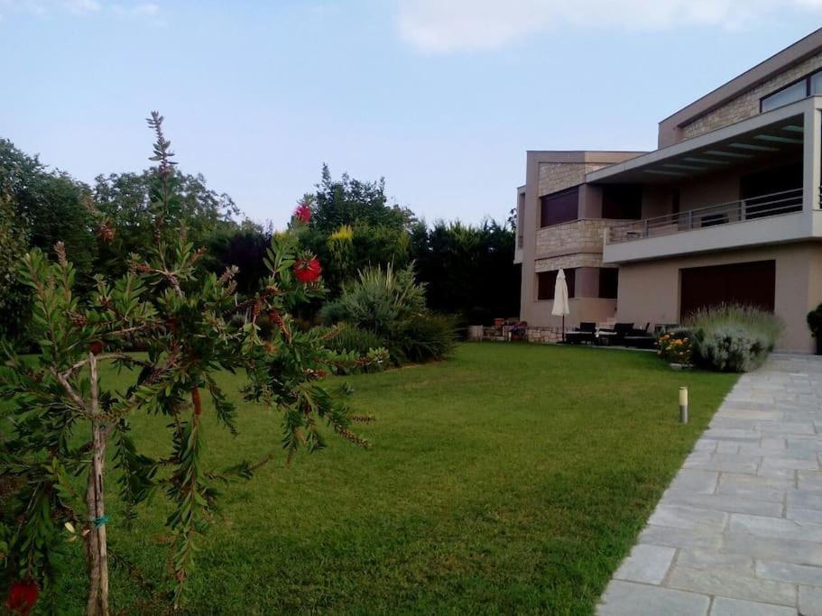 Luxury Villa Kassandrino Κασσανδρινό Εξωτερικό φωτογραφία